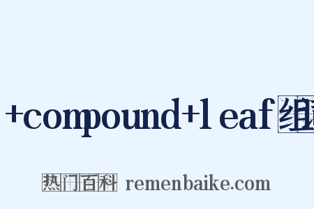 +compound+leaf组词是什么意思的图片